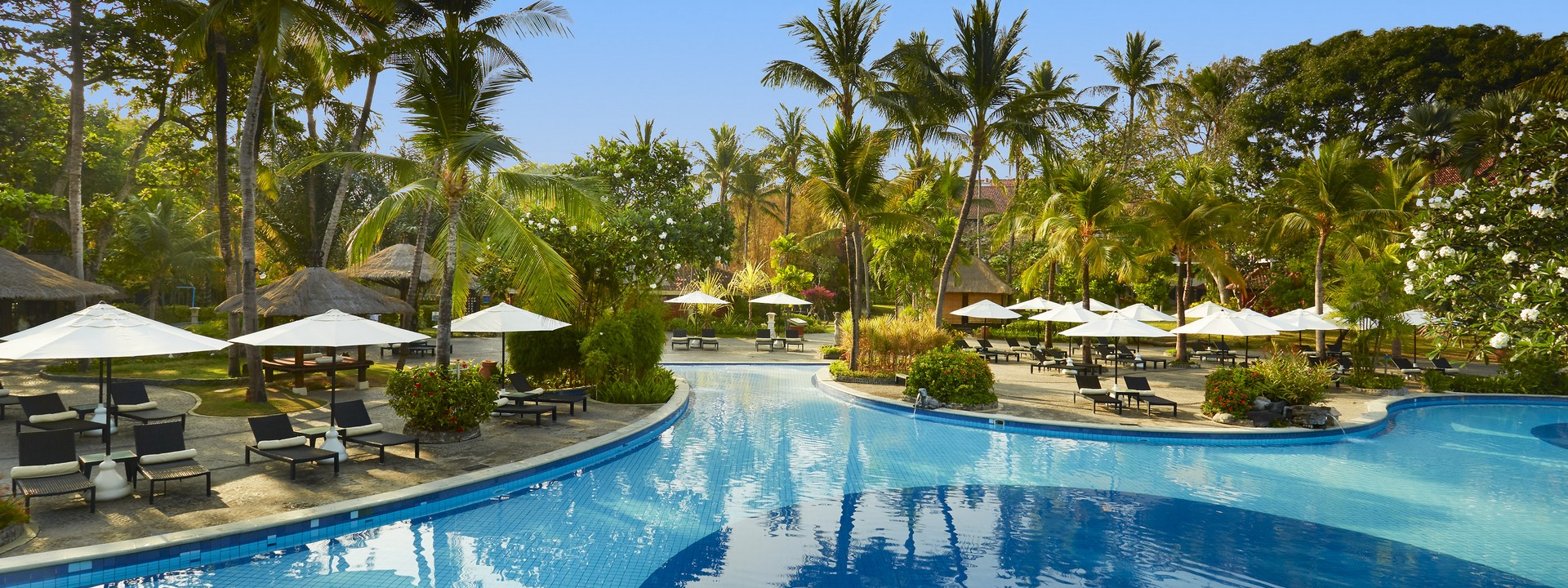 Melia Bal Pool Umbrellas Trees