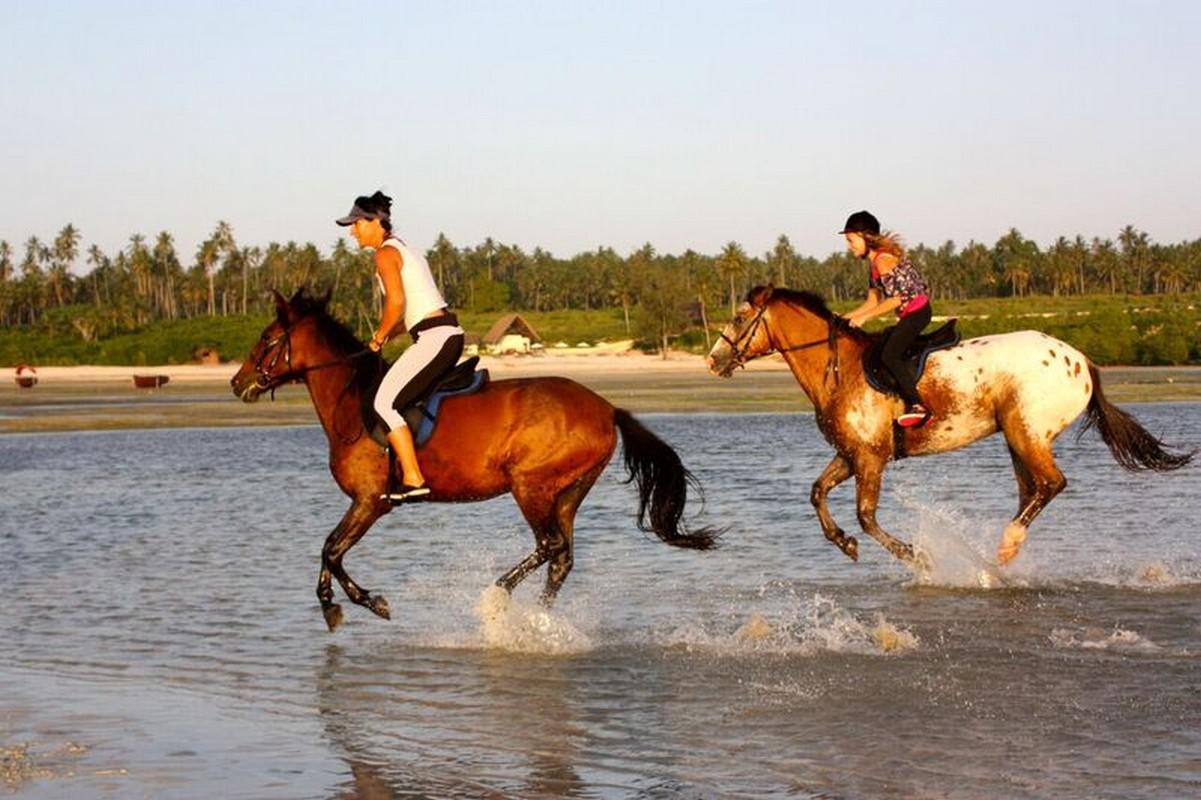Sea Cliff Resort Spa Zanzibar Beach Horse Riding
