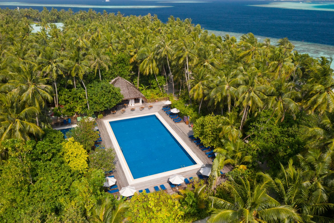 Aerial view of Vilamendhoos main pool surrounded by palm trees and tropical foliage