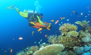 Diver exploring vibrant coral reefs at You and Me by Cocoon with colorful fish