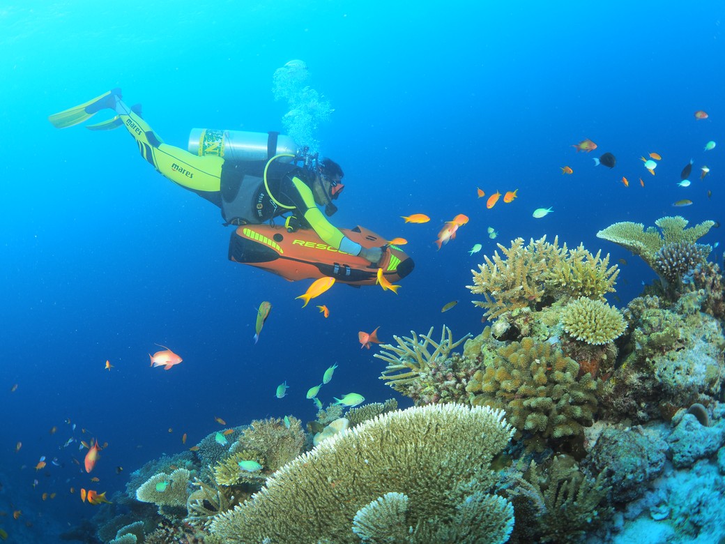 Diver exploring vibrant coral reefs at You and Me by Cocoon with colorful fish