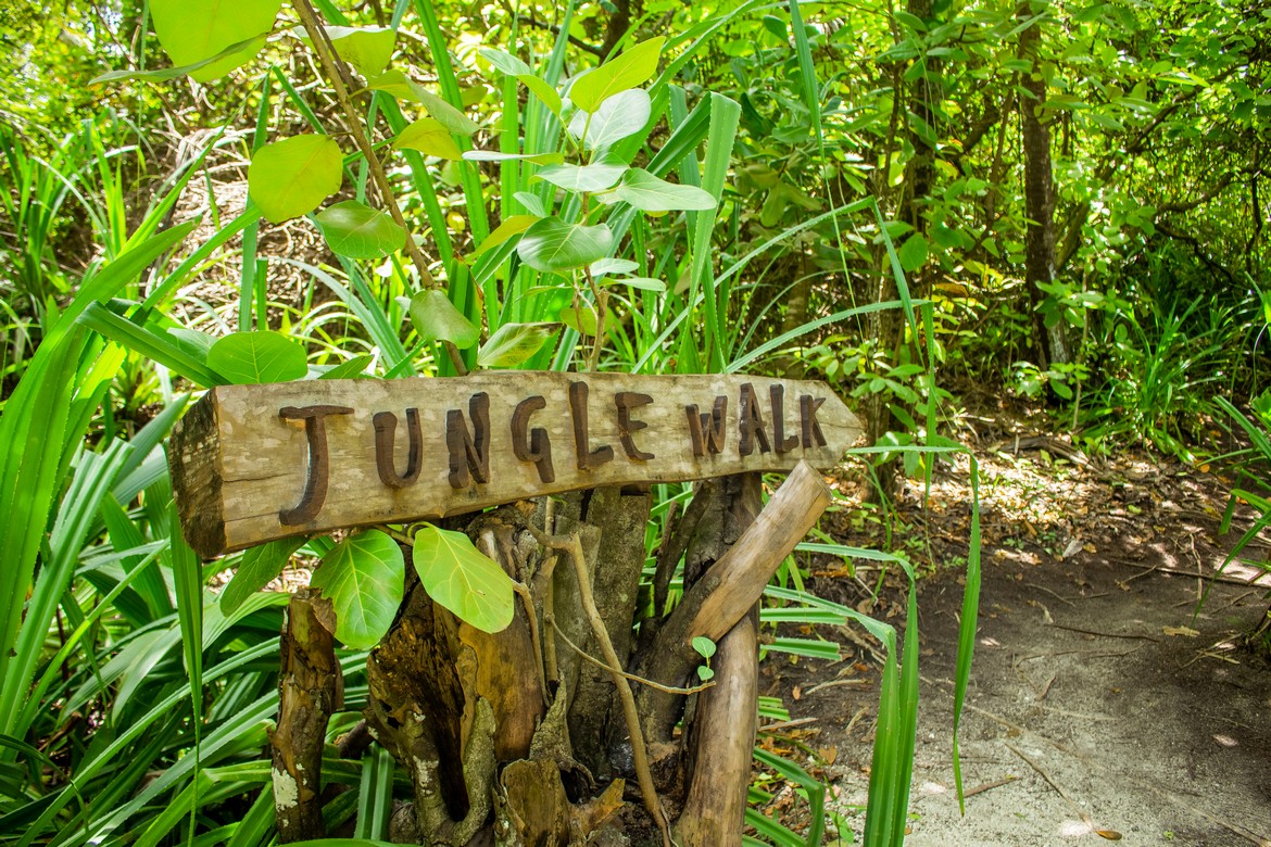 Jungle walk sign amidst lush greenery at Dhigali