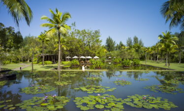 Lily pond with tropical flowers and palm trees at The Sarojin Khao Lak garden area under clear blue sky