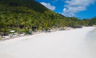 Palm trees lining the pristine white beach at Paradise Sun