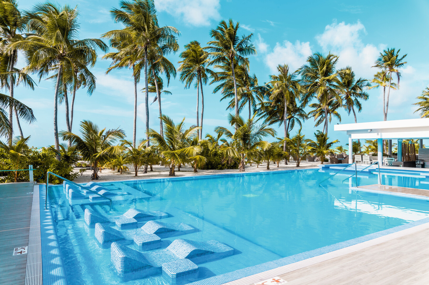 Poolside area with palm trees and loungers at Riu Palace