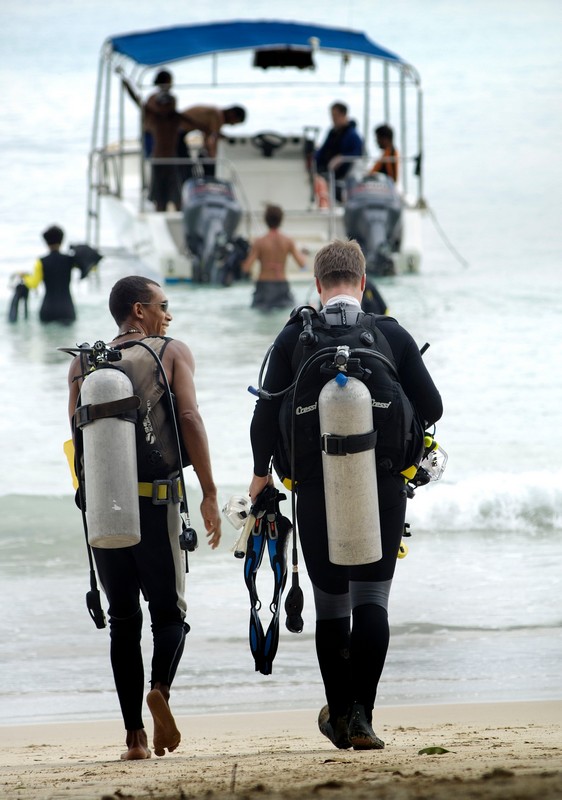 Scuba divers heading towards a boat at Berjaya Beau Vallon