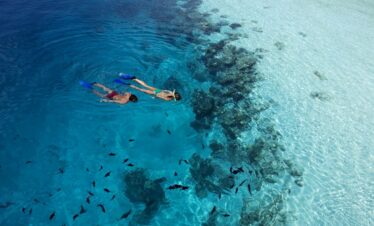 Snorkeling at Vilamendhoo in crystal clear waters surrounded by vibrant marine life