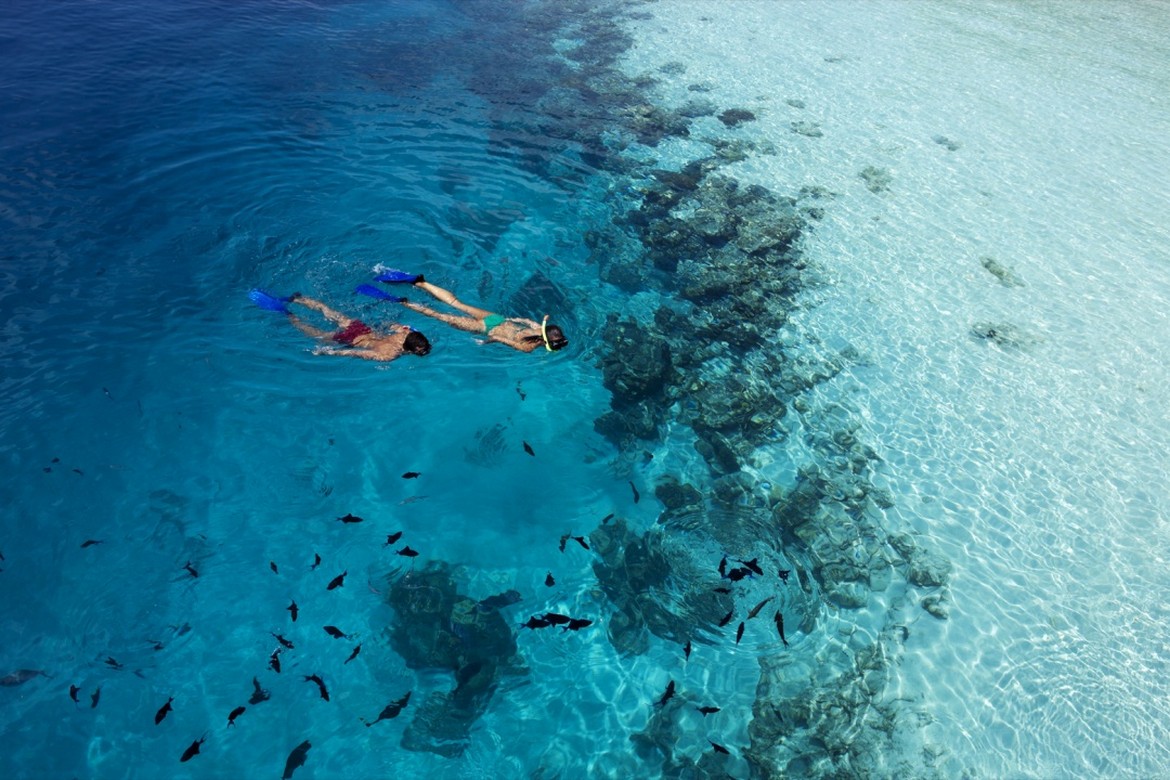 Snorkeling at Vilamendhoo in crystal clear waters surrounded by vibrant marine life