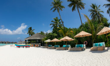 Sun Siyam Iru Fushi beachside with lounge chairs and umbrellas under tall palm trees on white sand