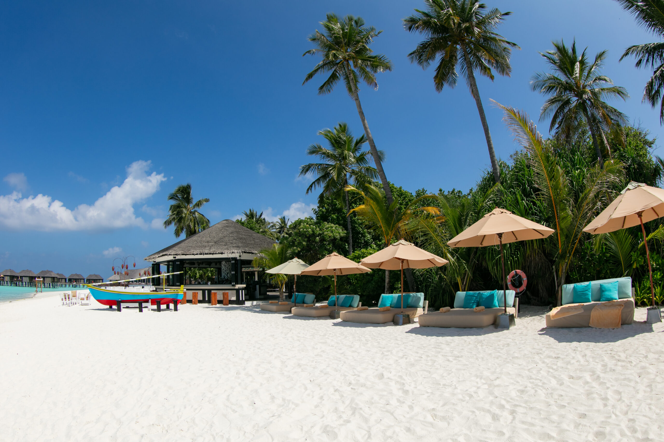 Sun Siyam Iru Fushi beachside with lounge chairs and umbrellas under tall palm trees on white sand