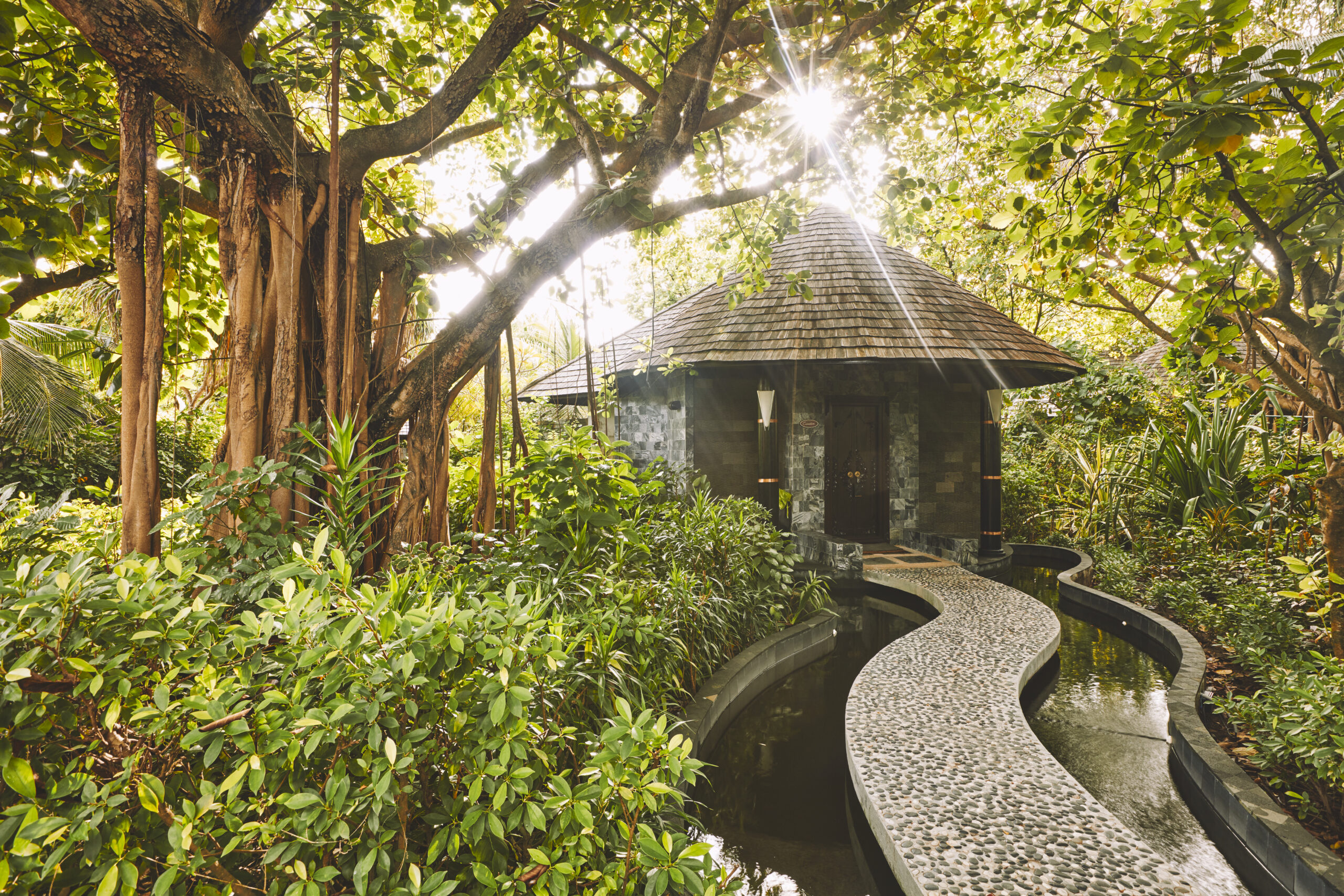 Sun Siyam Iru Fushi spa with a peaceful garden pathway surrounded by lush greenery
