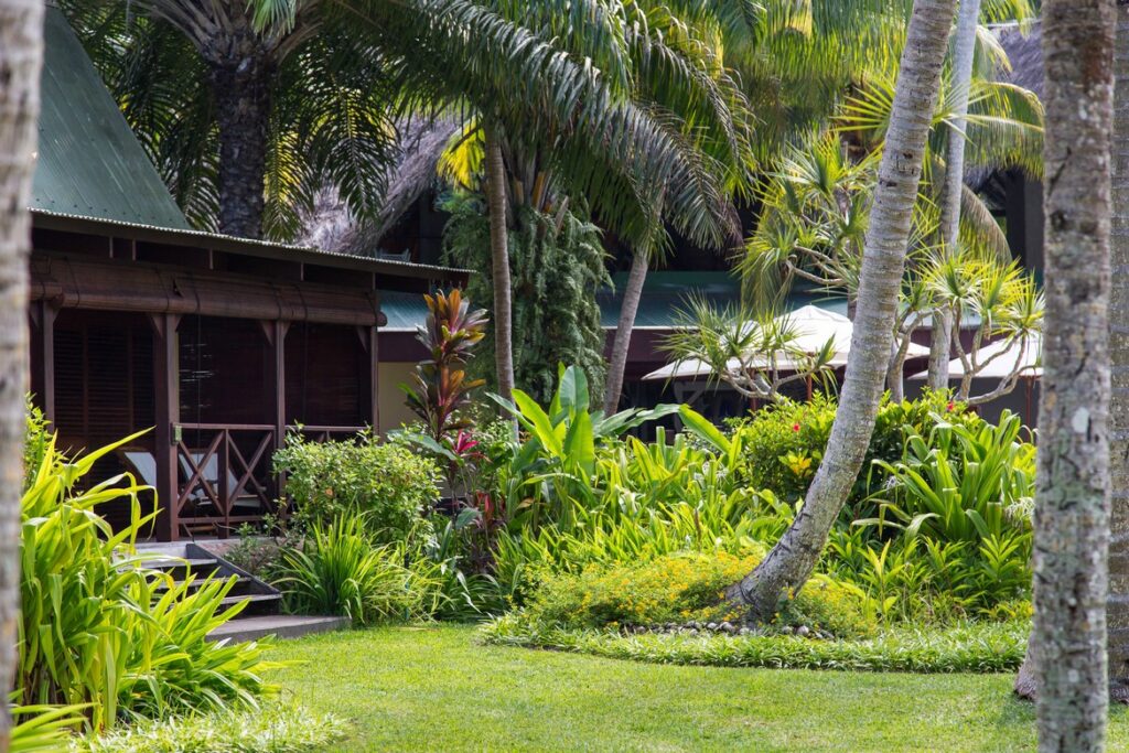 Tropical garden with lush greenery near a bungalow at Paradise Sun