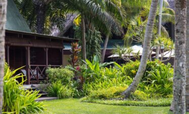 Tropical garden with lush greenery near a bungalow at Paradise Sun