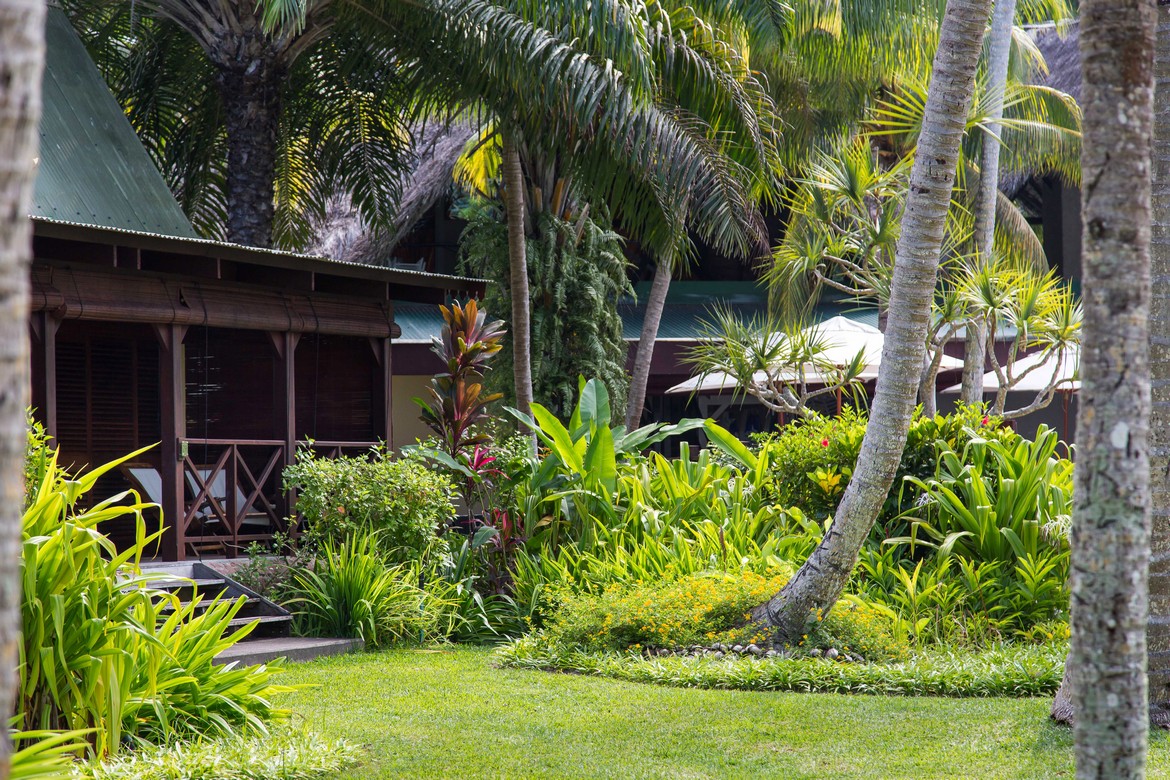 Tropical garden with lush greenery near a bungalow at Paradise Sun