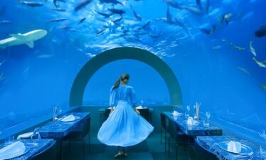 Underwater dining experience at You and Me by Cocoon surrounded by marine life