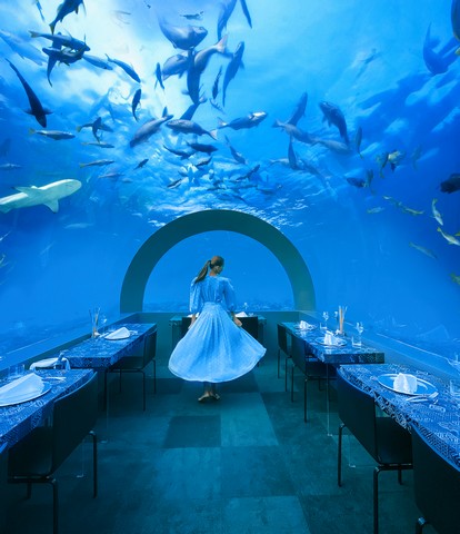 Underwater dining experience at You and Me by Cocoon surrounded by marine life