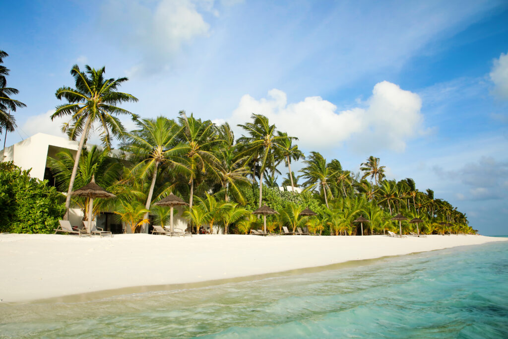 White sandy beach with palm trees near Riu Palace
