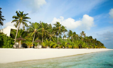White sandy beach with palm trees near Riu Palace
