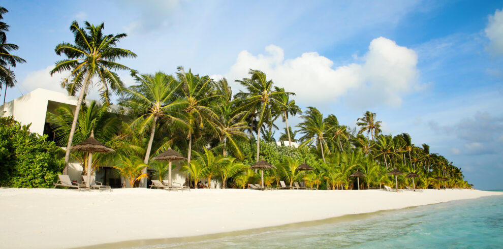 White sandy beach with palm trees near Riu Palace
