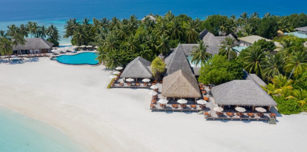 Beachfront pool and palm trees at Veligandu island resort
