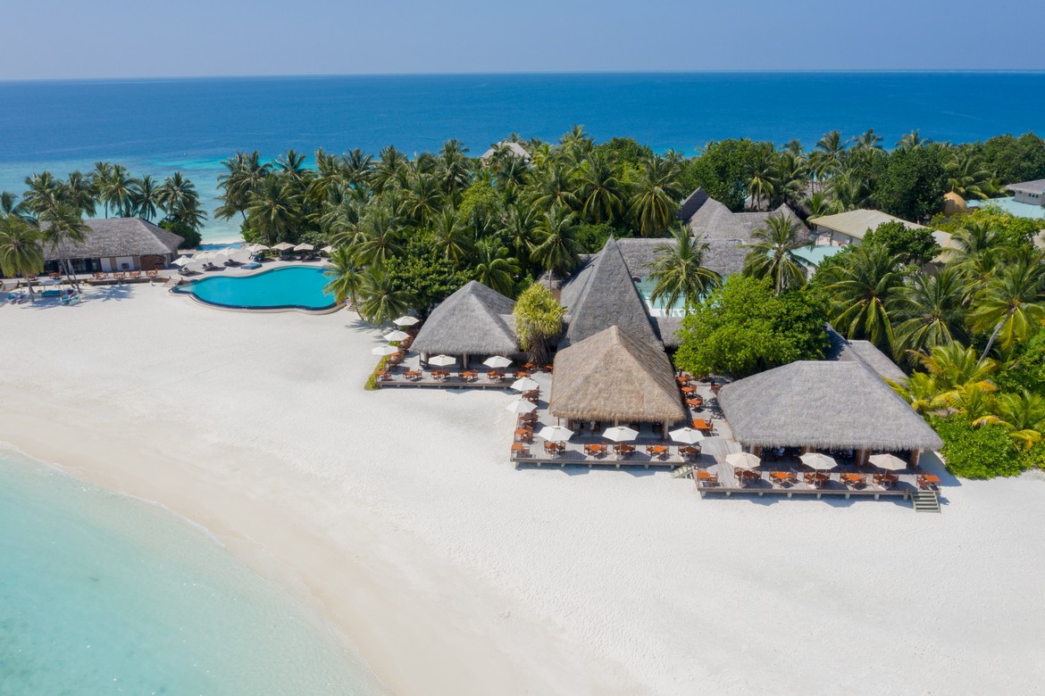Beachfront pool and palm trees at Veligandu island resort