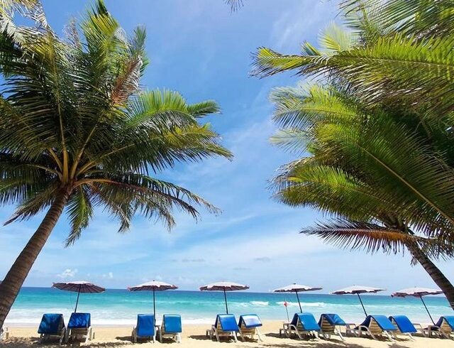 Beachside loungers under palm trees near Centara Karon