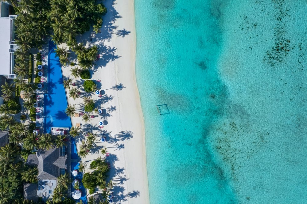 Kandima beach lined with palm trees and clear waters