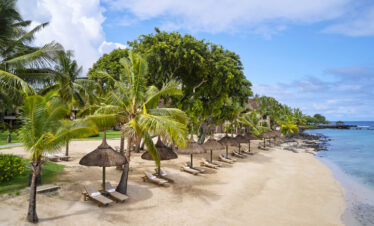 Sandy beach with palm trees and lounge chairs at The Westin Turtle Bay Resort and Spa facing the ocean
