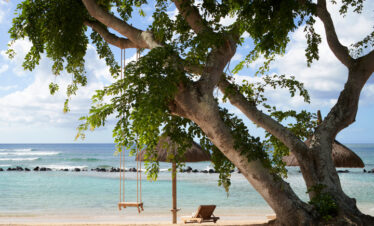 Swing hanging from a large tree overlooking the beach at The Westin Turtle Bay Resort and Spa with clear blue waters
