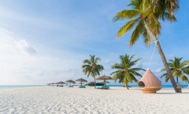 White sand beach with palm trees and loungers at Veligandu