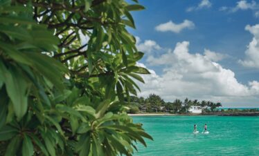 Paddleboarding on clear waters with lush greenery at Paradise Cove Boutique