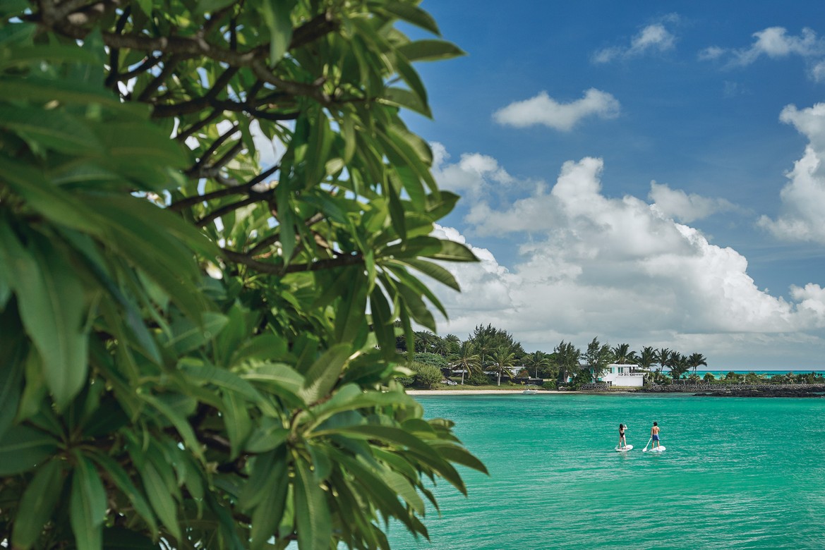Paddleboarding on clear waters with lush greenery at Paradise Cove Boutique
