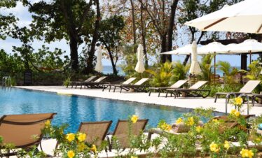 Resort poolside with sun loungers surrounded by lush greenery and tropical flowers Story of relaxation by the water
