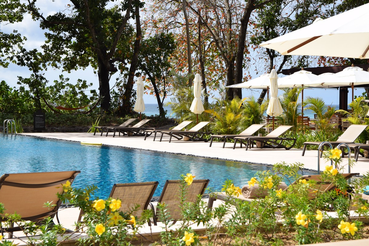Resort poolside with sun loungers surrounded by lush greenery and tropical flowers Story of relaxation by the water