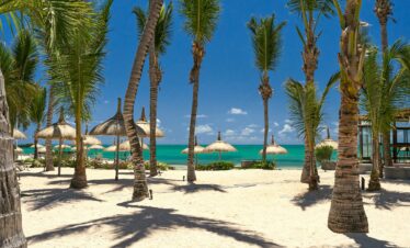 Sandy beach with palm trees and clear water at Lagoon Attitude Mauritius
