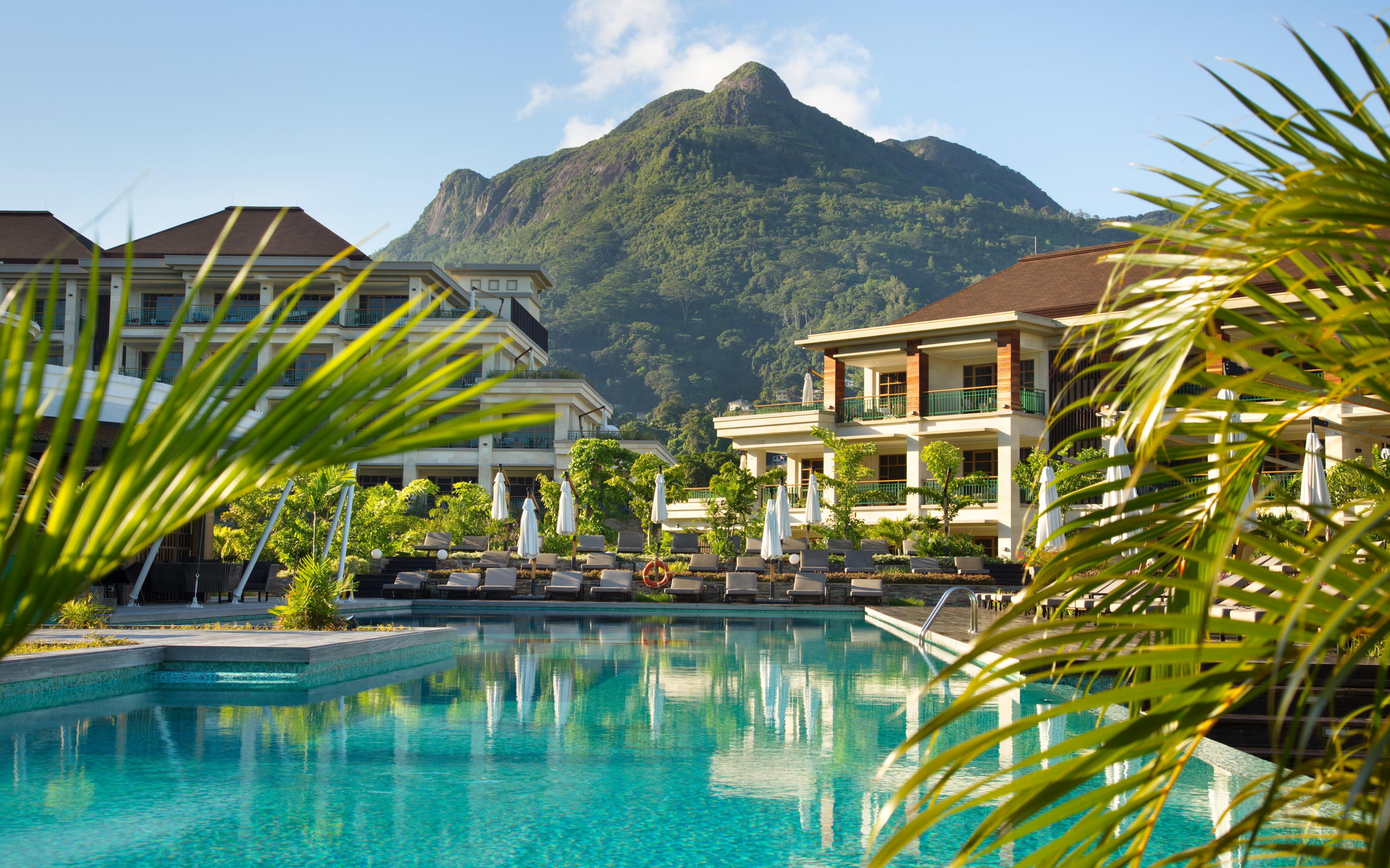 Savoy Seychelles infinity pool surrounded by lush greenery