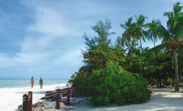 Beachfront walkway at Diamonds Mapenzi Beach Resort with tropical greenery