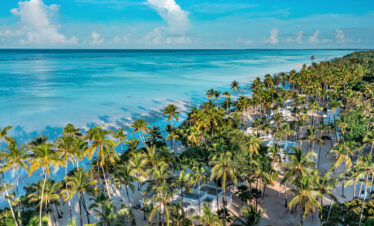 Stunning coastline of Diamonds Mapenzi Beach Resort lined with palm trees