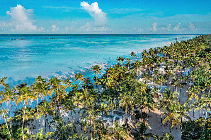 Stunning coastline of Diamonds Mapenzi Beach Resort lined with palm trees