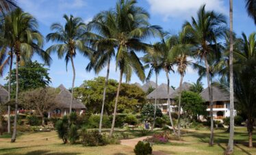Thatched roof villas at Bluebay Beach Resort surrounded by lush tropical gardens