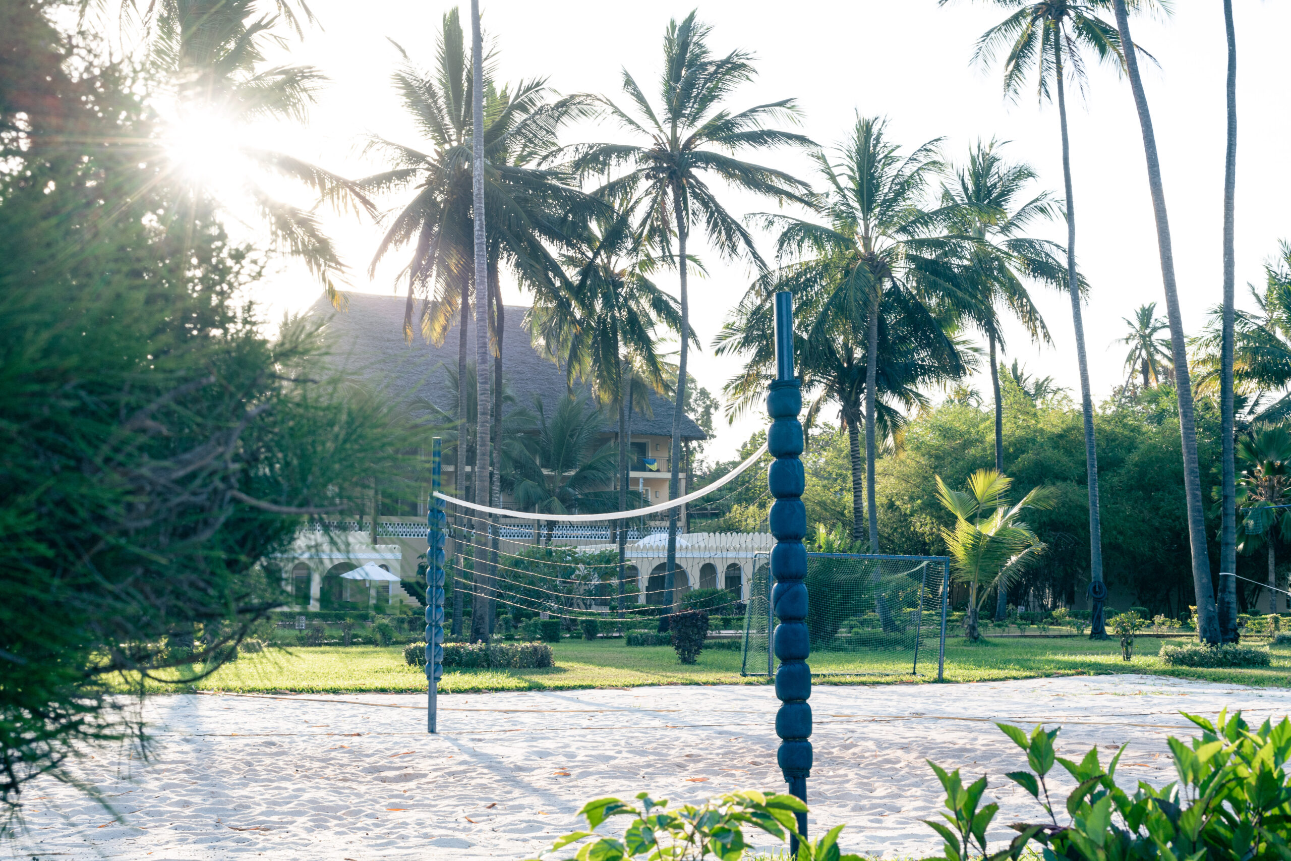 Volleyball net on a sandy court surrounded by palm trees at Tui Blue Bahari