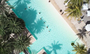 Ravenala Attitude pool surrounded by palm trees