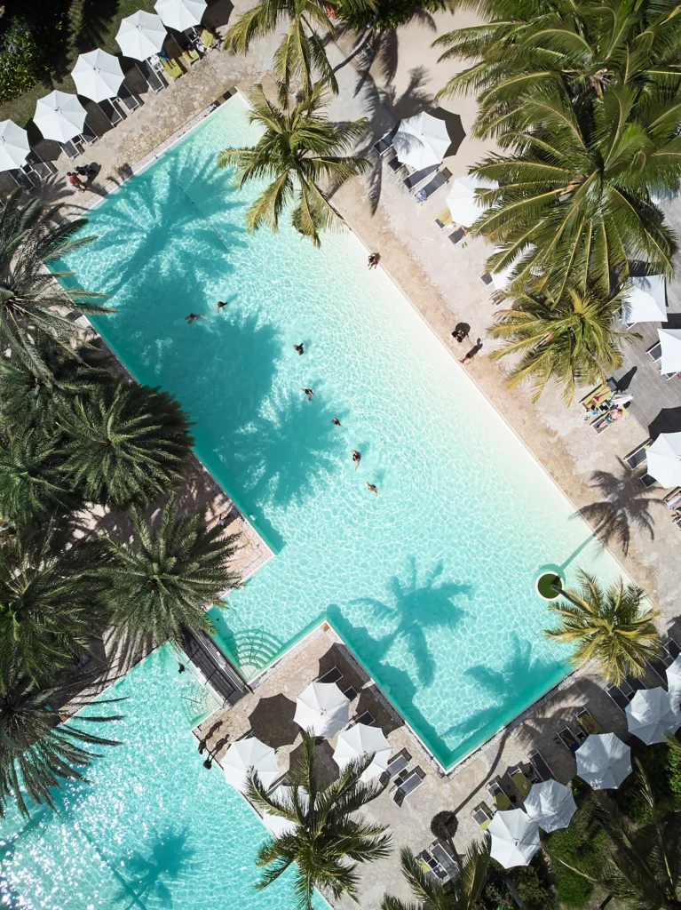 Ravenala Attitude pool surrounded by palm trees